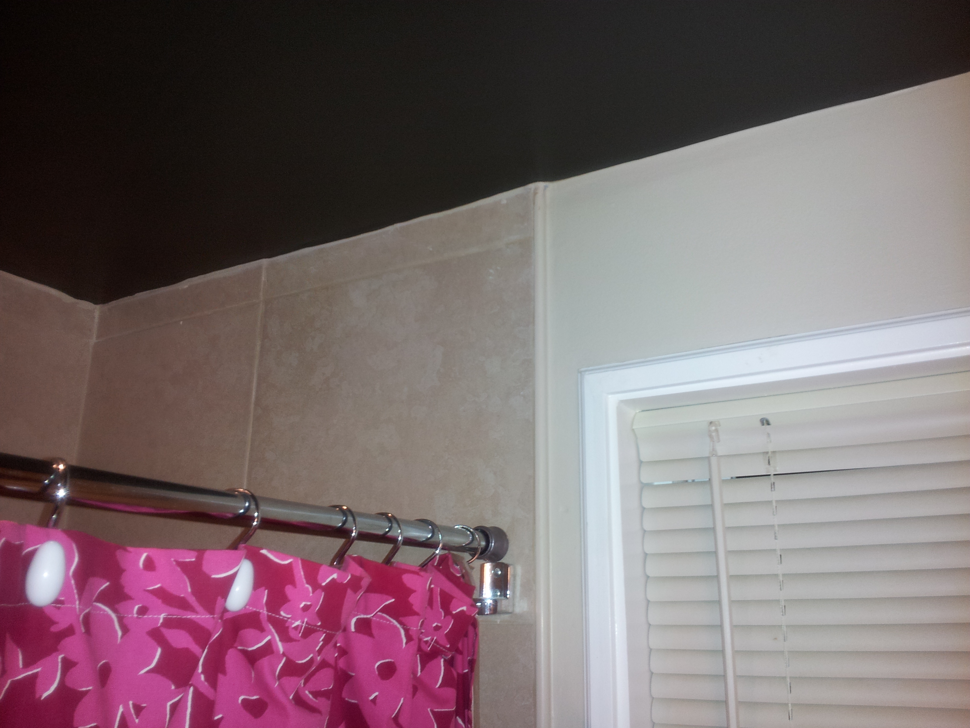 Darker Ceiling and Glossy White Trim