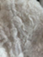 Premium Tampa Bridal Shops Tampa Wedding Dresses