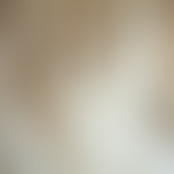 Bridal Shops Pro Tips for Newly Engaged Tampa Brides