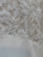 Premium Tampa Bridal Shops Tampa Wedding Dresses