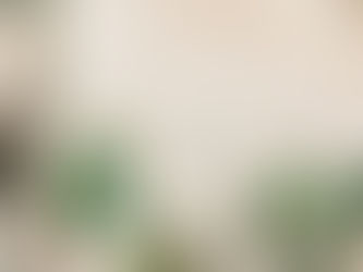 Can You Successfully Plan a Dream Wedding in Just Six Months