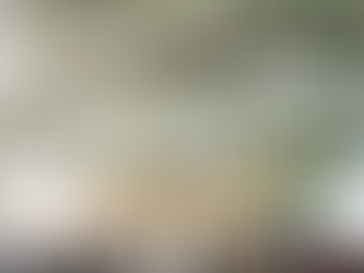 Top 5 Months for a Perfect Wedding in Florida