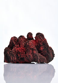 Pyun Yae-Rin, Poem for Ephemeral Moments 250621, 2025, Ceramic, 57 x 30 x 36 cm.jpg