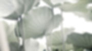 d7hftxdivxxvm.cloudfront.net.jpeg
