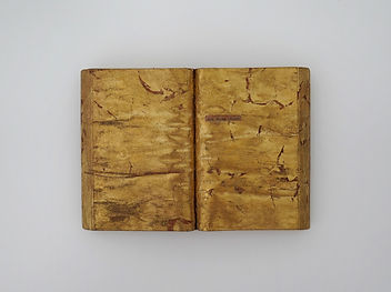Mo Lai Sze Liz, Ayla Devait Choisir (Ayla had to choose), 2024, Alloy gold leaf and acryli