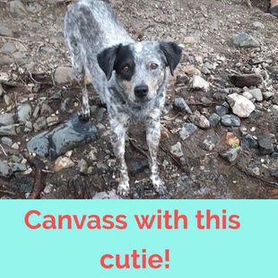 How You Can Help!