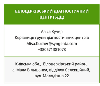 Знімок екрана 2024-12-18 о 12.19.18.png