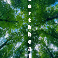 Earthbeat