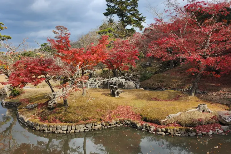 Estanque en el parque de Nara con árboles de otoño reflejados en el agua.