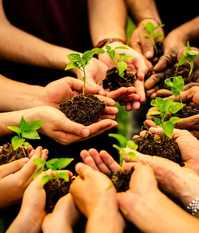 shutterstock_1098423437 (2).jpg