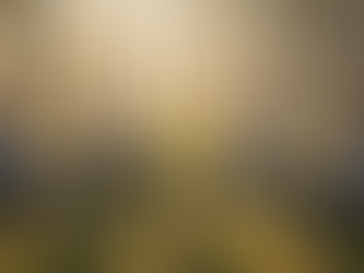 Een groep mensen geniet samen van de rust in de buitenlucht tijdens een ontspannen retraite bij zonsopkomst.