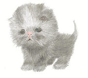 Marshmallow Kitten 3 (Small).jpg