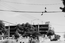 IMG_0580
