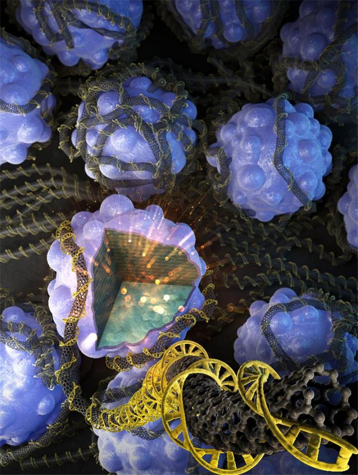 A Korean research team has succeeded in developing next-generation high-capacity cathode material for lithium-ion batteries. It's stabilizing the surface of over-lithiated layered oxides using DNA from salmon and carbon nanotubes, and Improved catalyst performance and lifespan found through the use of integrated advanced analytical techniques. @ Korea Institute of Science and Technology (KIST)