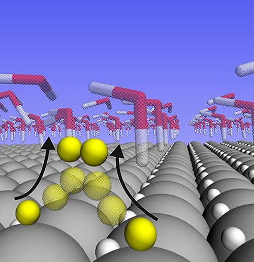 A new study shows that hydrogen atoms are loosely bound and highly mobile on the surface of a platinum catalyst during the water splitting reaction @ Peterson Lab / Brown University