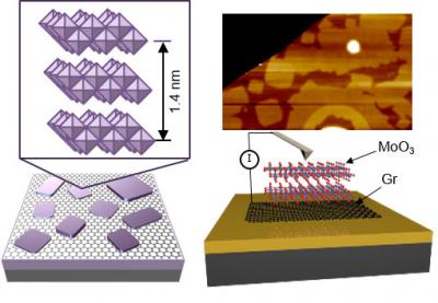 Graphic showing a crystal structure of MoO3 nanosheet grown on hexagonal graphite (left). To characterize physical and electrical properties of MoO3, atomic force microscopy was conducted (right). @ JongHoon Kim