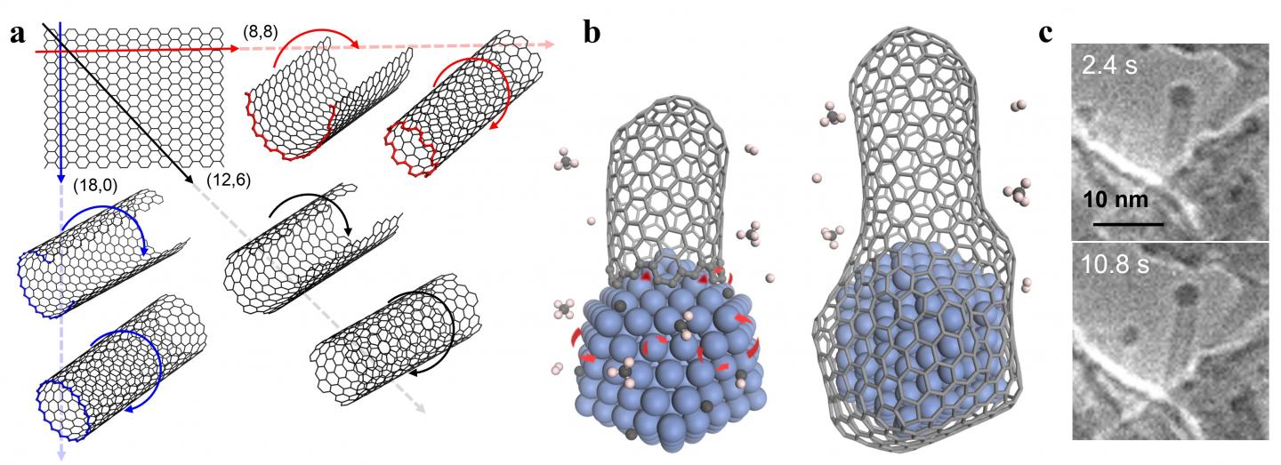 (a) Carbon nanotubes (CNTs) could be viewed as single-atom layer thick graphene sheets rolled into a cylinder. Different directions of rolling determine CNTs’ properties. (b) Schematic diagram showing a carbon nanotube’s lifetime during chemical vapor deposition synthesis. Transition metals (blue structure) serve as catalysts, critical to elongate the CNT (left), until the carbon concentration on the catalyst surface becomes so abundant that the nanoparticle gets encapsulated by graphitic or amorphous carbon, forming a “cap” at the end of the cylinder and ending the growth of the CNT (right). (c) Environmental transmission electron microscope images of a CNT taken at different times during growth. The CNT contains a cobalt nanoparticle on its top end, a typical feature of tip-growth.