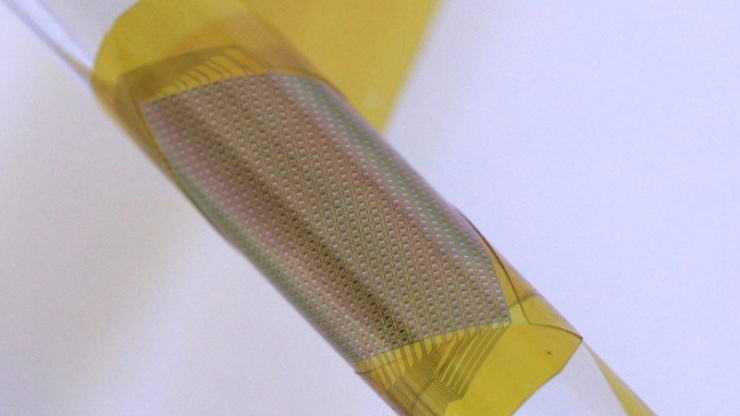 To demonstrate the extreme flexibility of their neural interfaces, researchers wrap it around a 2.5 mm tube. Despite it's flexibility, the neural interface can withstand the harsh environment of a brain for more than six years. @ John Rogers, Northwestern University