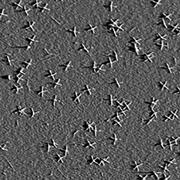 Hundreds or even thousands od DNA propellers can fit on one microscope slide @ Harvard University