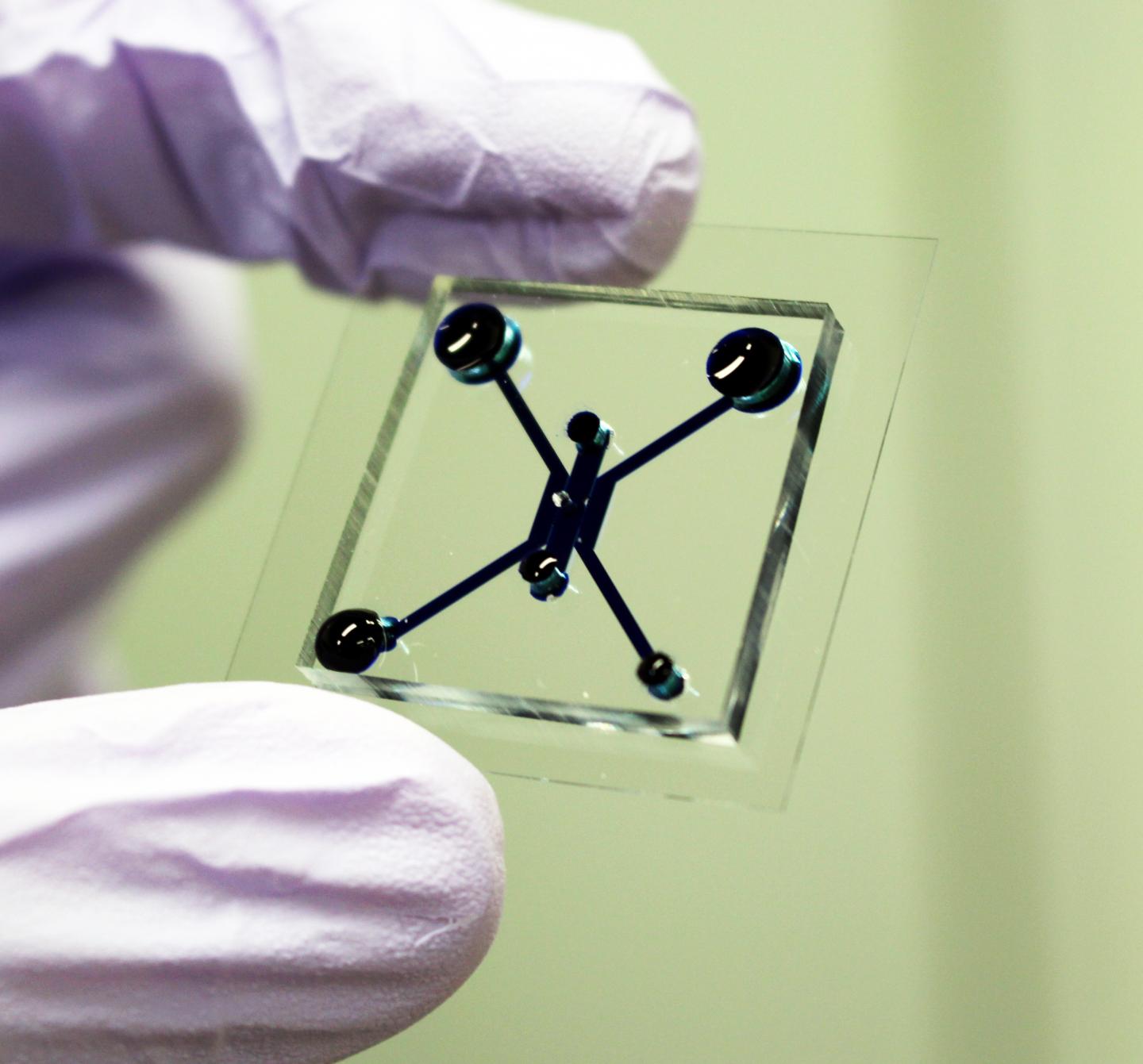 The device allows researchers to mimic the environment inside the body to screen for better cancer screening drugs. @ Kyoto University/Yokokawa Lab