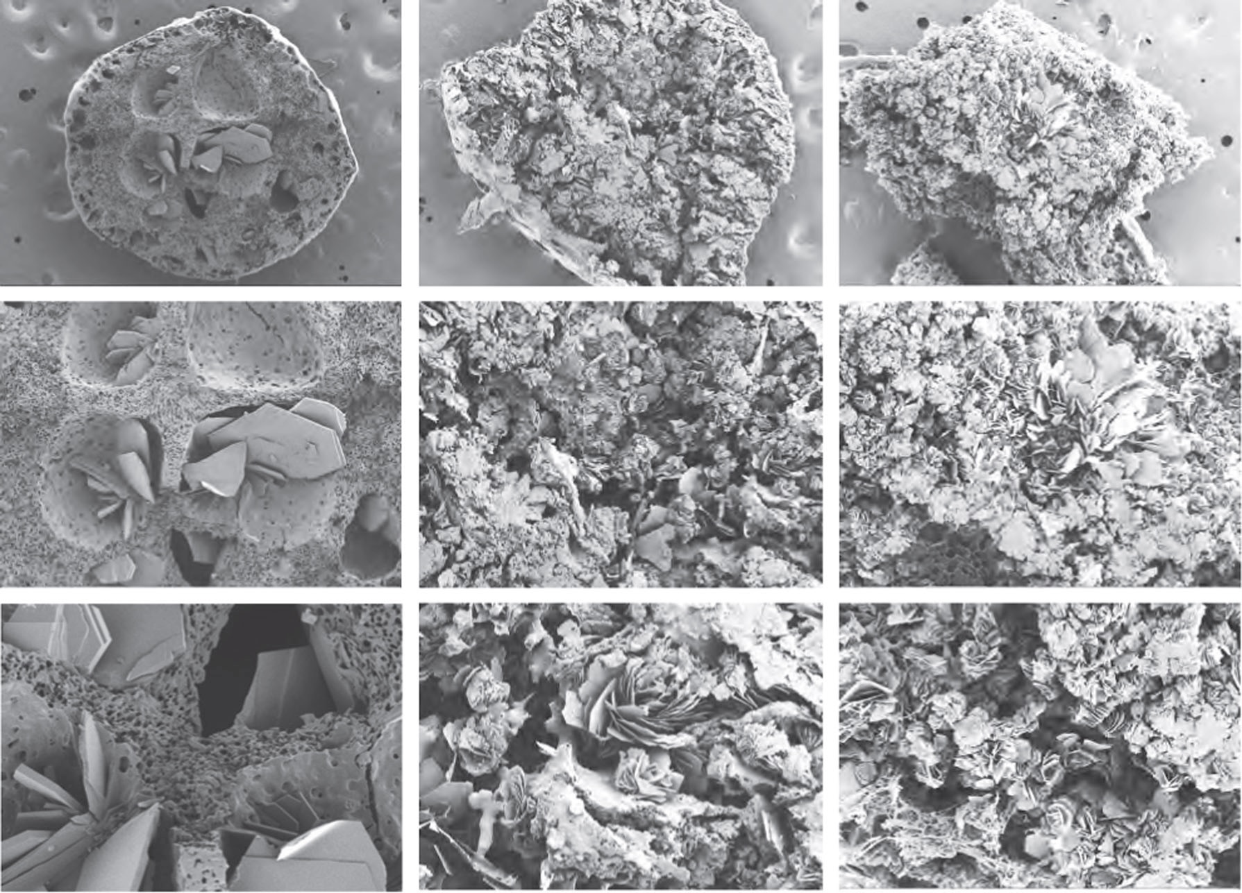 SEM cross-section images of implants after drug release for 30 days. @ University of North Carolina (UNC)