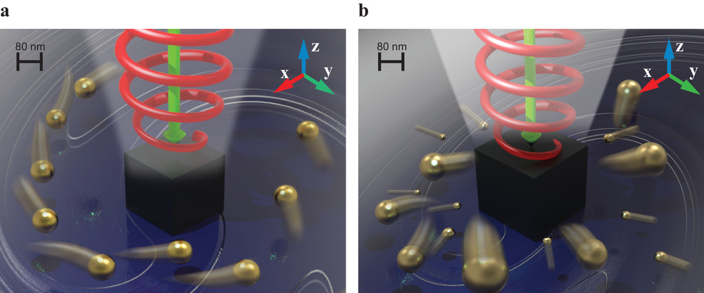 An artistic view of the proposed active nanomixing scheme (left) and radial separation of nanoparticles (right). a) A silicon nanocube submerged in a water solution is illuminated by a circularly polarized laser beam coming from the top. The scattered field carries a nonzero tangential component of the pointing vector in the xy plane, which induces nonzero orbital angular momentum in the negative z direction. The same effect causes the spiral motion of Au nanoparticles around the nanocube. Viscous friction between the moving nanoparticles and the fluid gives rise to convective fluid motion and enhances fluid mixing. b) Sorting concept. Nanoparticles of different sizes having opposite signs of the real part of polarizability are radially displaced in opposite directions--the smaller ones move toward the nanocube, while larger ones move away from it. @ DOI: 10.1002/advs.201903049