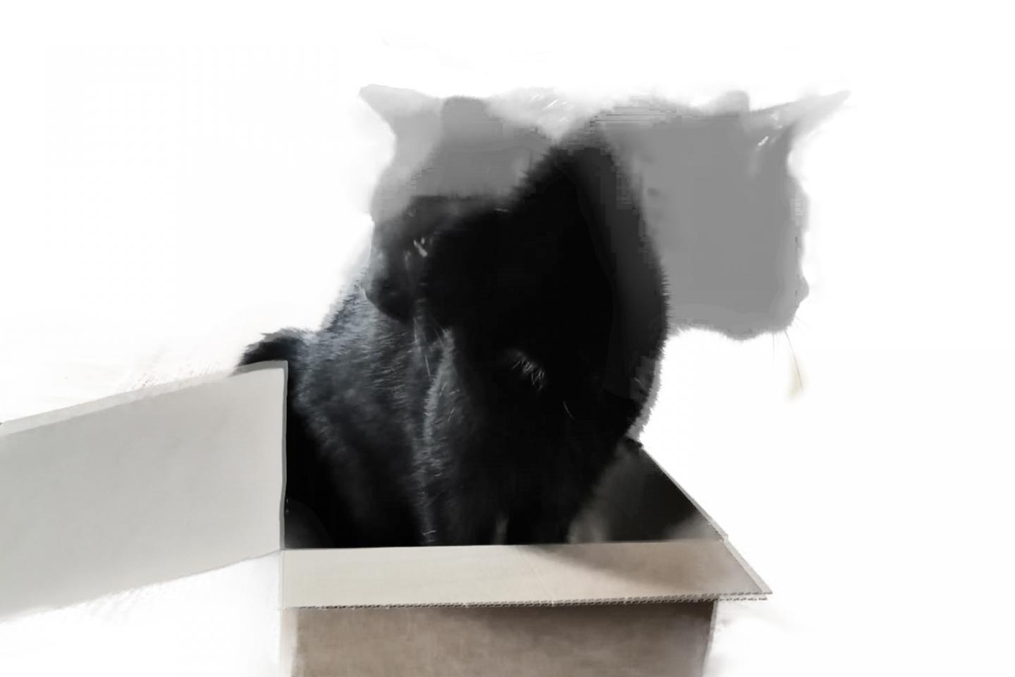 In quantum computing, a cat state - named after the famous analogy of Schrödinger's cat -- is a quantum state composed of two diametrically opposed conditions simultaneously. Together with experts from Forschungszentrum Jülich, an international team has now succeeded in placing 20 entangled quantum bits in such a state of superposition. @ Forschungszentrum Jülich / Annette Stettien