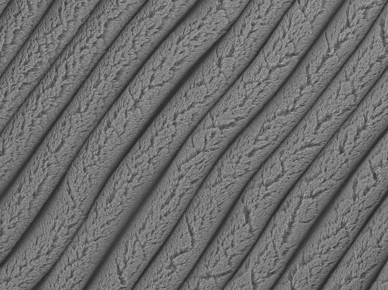 These forest-like rows of carbon nanotubes were created on an elastomer substrate that was pre-stretched in one direction and then allowed to contract. This process creates stretchable supercapacitors that hold more charge in less space and remain functional even when stretched to eight times their original size. @ Changyong Cao, Michigan State University