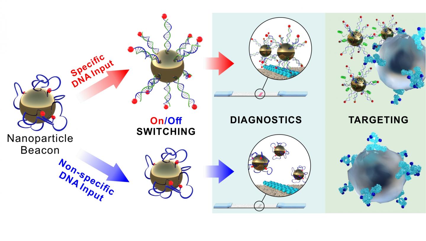 llustration of supersensitive nanomaterial. @ Vladimir Cherkasov et al./ACS Nano