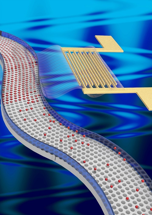 Massively multiplexed submicron particle patterning in acoustically driven oscillating nanocavities @SUTD