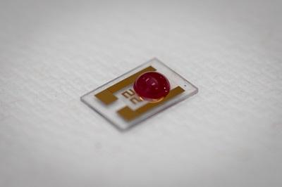 A single drop of blood sits on the cancer-detecting chip developed. @Worcester Polytechnic Institute