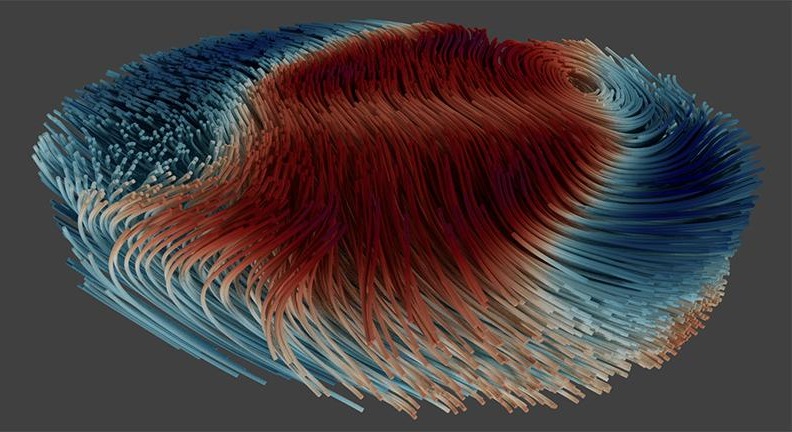 Rendering of a snapshot of the reconstructed 3D magnetic structure. @ Claire Donnelly