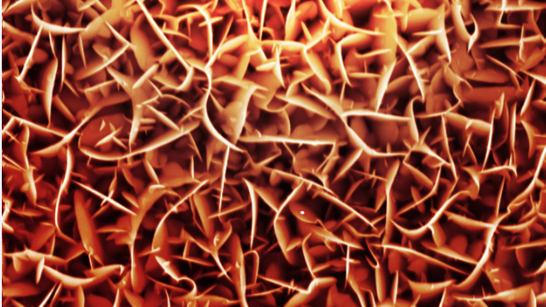 A scanning electron microscope image of the nanostructured Iridium oxide, colored to represent the catalytic combustion studied by UConn and the Army researchers. @ Army Research Lab