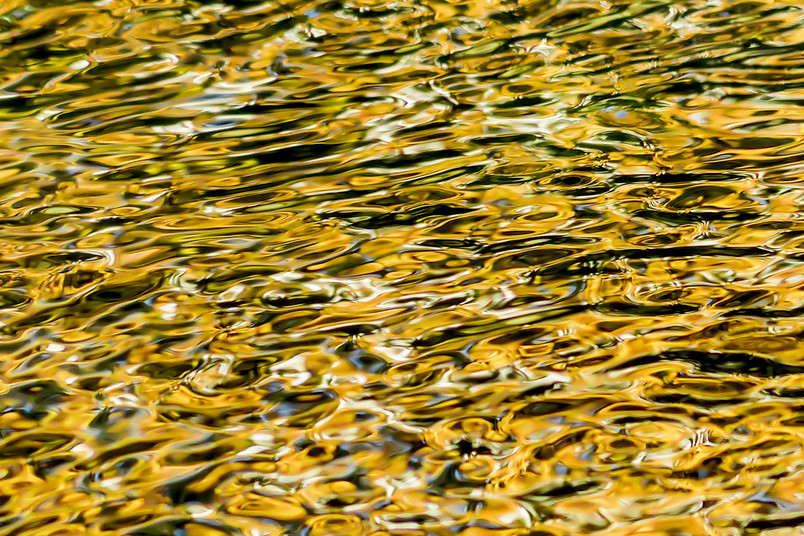 Water is gold – also in RUB’s Botanical Garden. © Elmar Weiler
