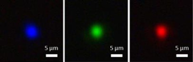 Focused photo of a tricolor light (R, G, B) passing through a ultrathin metalens @ Junsuk Rho (POSTECH)