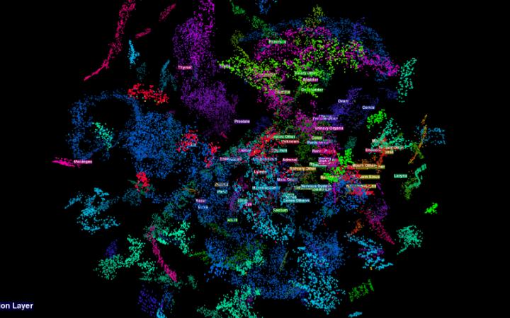 The image visualizes how the team's multitask convolutional neural network classifies primary cancer sites. @ Hong-Jun Yoon/ORNL