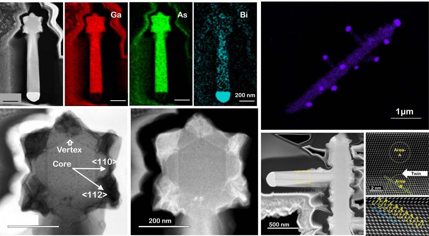 Microscopic observations of obtained nanowires. Characteristic hexagonal star structure, defect-defined quantum structures induced by the existence of Bi element were observed.@ Ehime University