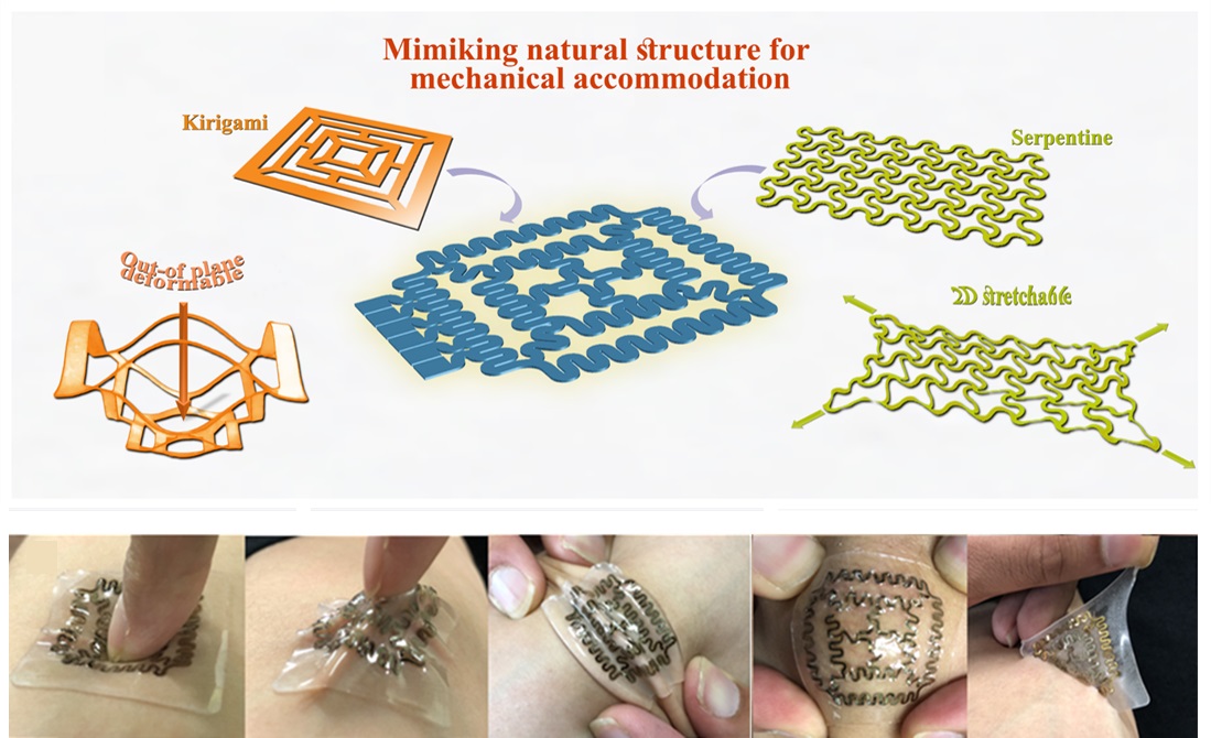 A smart wearable real-time diagnosis sensor applying complex nature-mimicking structure @ DGIST