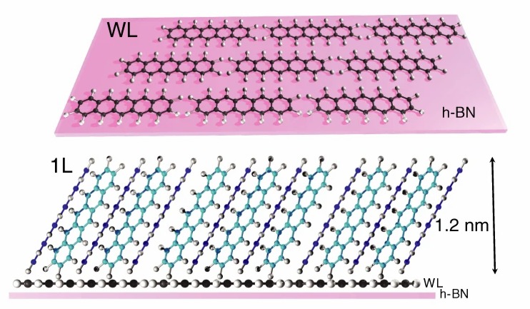 Schematic diagram showing the orientation and alignment of atomically thin 2D layered pentacene samples in "Supertransport of excitons in atomically thin organic semiconductors at the 2D quantum limit" @ Light: Science & Applications, a Nature journal