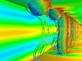 Magnetic skyrmions: Not the only ones of their class