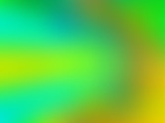 Magnetic skyrmions: Not the only ones of their class