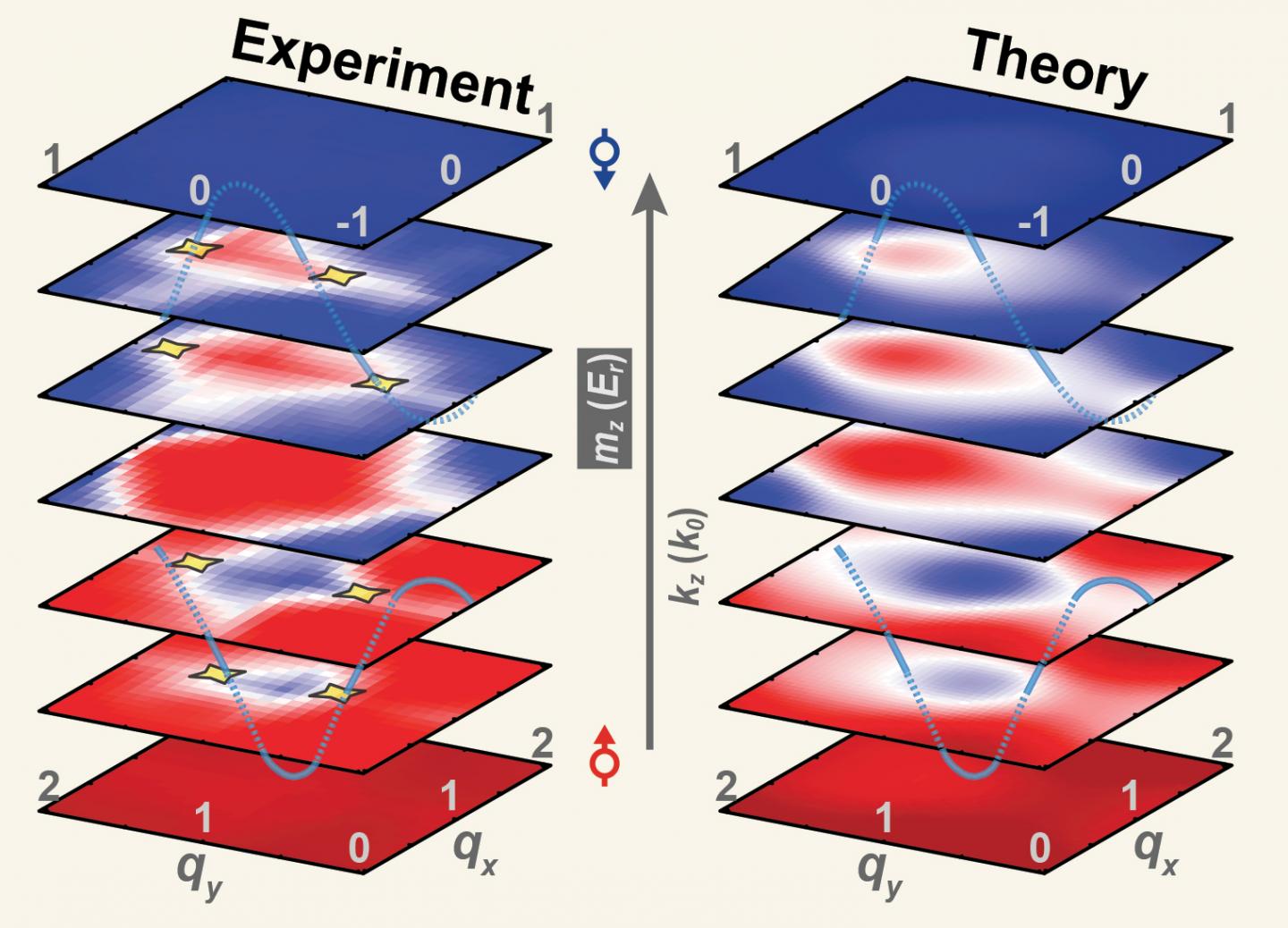 Three-dimensional band topology is experimentally mapped out showing nodal lines in good agreement with theoretical prediction. @ HKUST