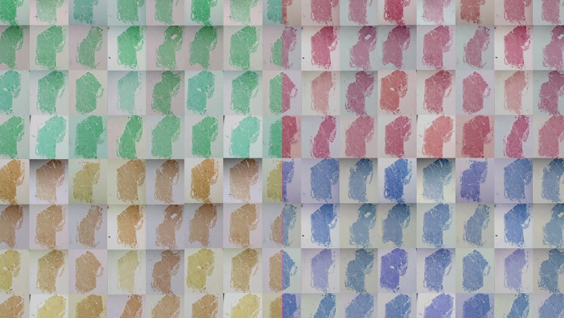 This image shows atomically thin semiconductor wafers (MoS2 monolayers, lateral dimension of each panel ~ 1cm, wafer thickness of only ~0.7 nm). We obtained these monolayers from layer-by-layer exfoliation of a MoS2 single crystal using the gold tape method. The images have been Photoshop-processed for artistic appeal. @ Fang Liu, Qiuyang Li, Andrew Schlaus, Wenjing Wu, Yusong Bai, and Kihong Lee/Columbia University