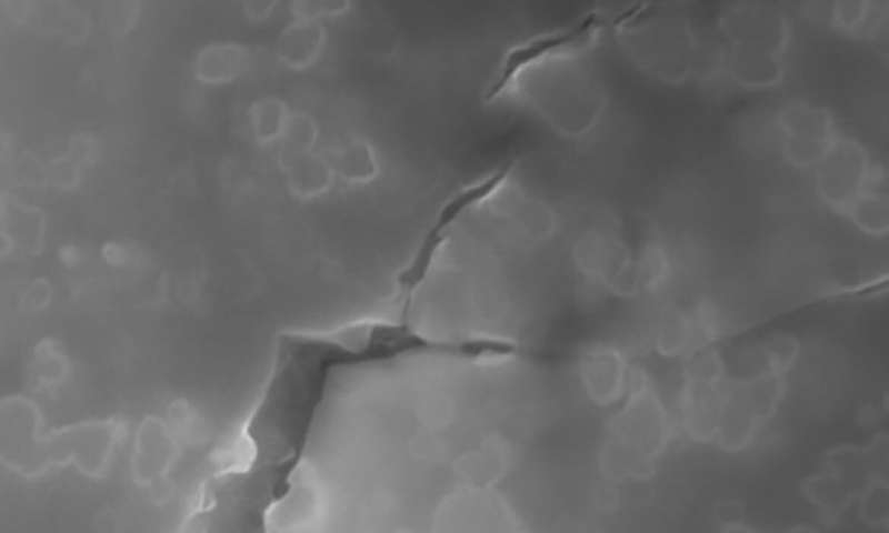 An electron microscope image of a new, tougher glass developed at UCLA, showing how nanoparticles (rounded, irregular shapes) deflect a crack and force it to branch out. @: SciFacturing Lab/UCLA