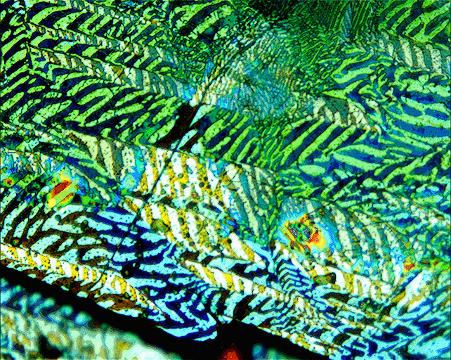 Magneto-optical characterization of the ferromagnetic domains in VI3. @ Ames Laboratory, US Department of Energy