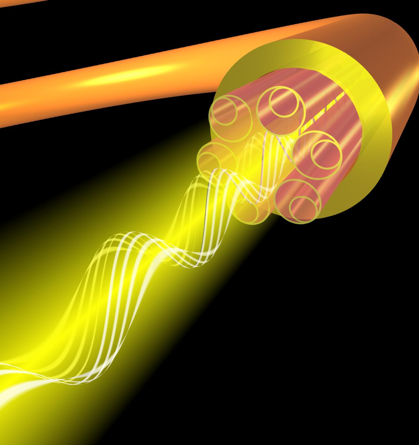NANF polarization holding. @ University of Southampton