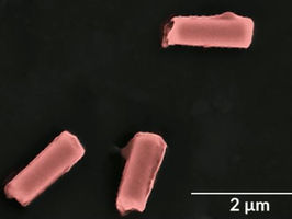 Cell-like nanorobots clear bacteria and toxins from blood