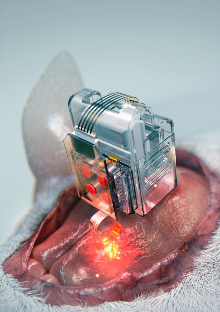 The device, using Lego-like replaceable drug cartridges and powerful bluetooth low-energy, can target specific neurons of interest using drug and light for prolonged periods. @ Korea Advanced Institute of Science and Technology