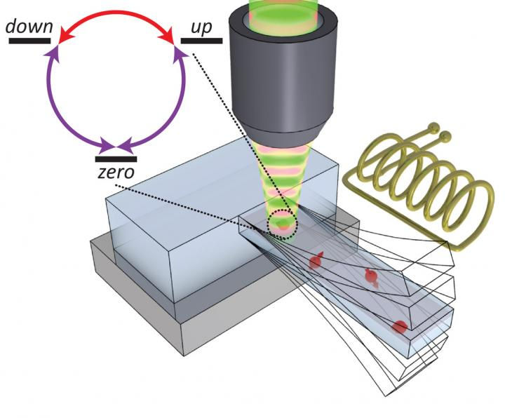 The oscillating cantilever influences the spin of the electrons in the nitrogen-vacancy centers (red arrows). The phase of the oscillator determined in which direction (clockwise or counter-clockwise) the spin rotates. @ University of Basel / Swiss Nanoscience Institute