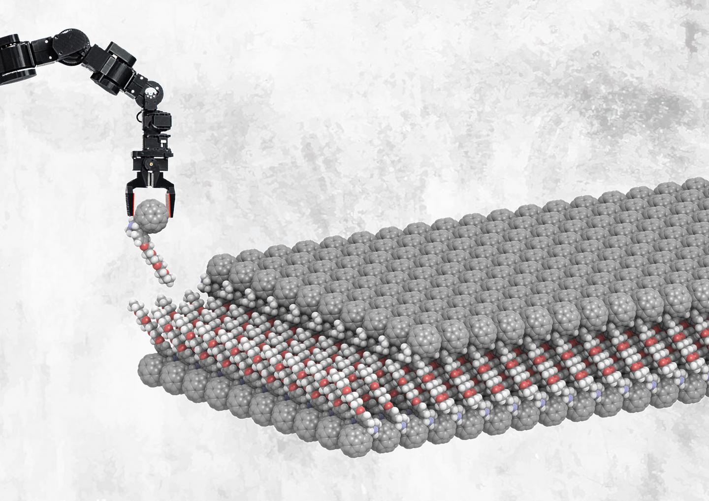 This is an artist's impression of a self-assembled layer of functionalized buckyballs. The fullerenes attach to the metal surface, and the glycol-ether tails induce self-assembly of a bilayer. The upper half can be replaced by a different compound, when this is also functionalized with glycol-ether. The paper describes how the upper layer is replaced by spiropyrans (molecules that will change shape when exposed to UV light) connected to a glycol-ether tail. @ Xinkai Qiu, Stratingh Institute for Chemistry, University of Groningen